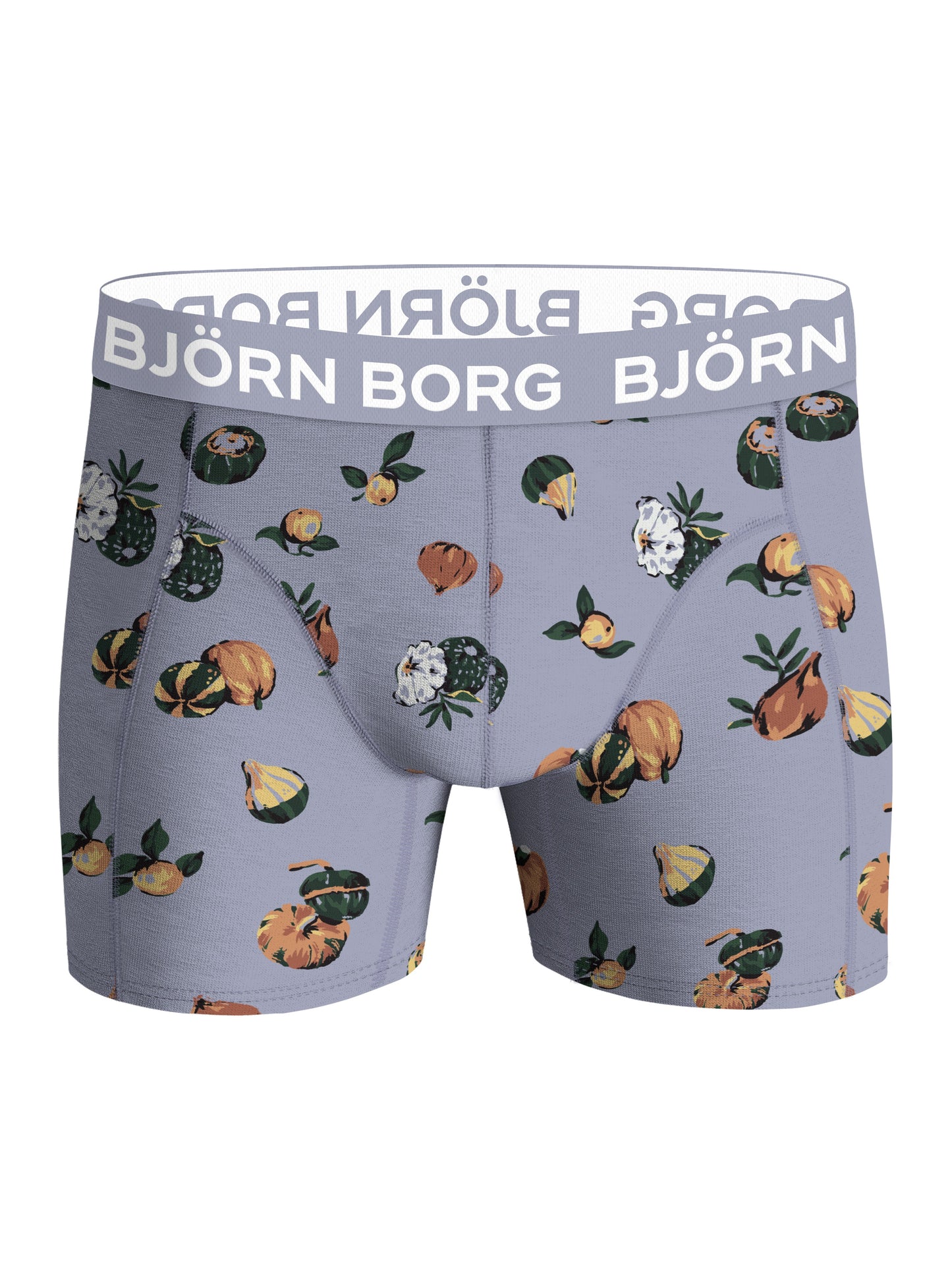 Bjorn Borg Ανδρικά Εσώρουχα 5τεμ. - Cotton Stretch Boxers 5p - Multicolor