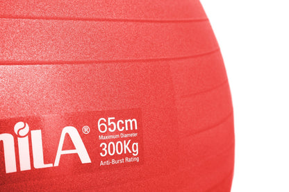 Amila Μπάλα Γυμναστικής - GYMBALL 65cm - 95846-Red